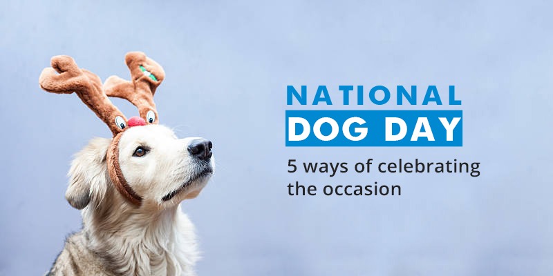 5-ways-of-celebrating-CanadaVetCare