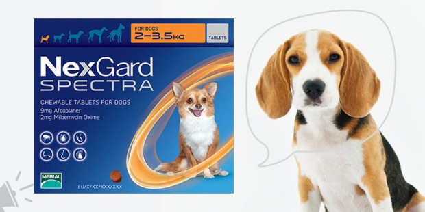 Nexgard Spectra for Dogs