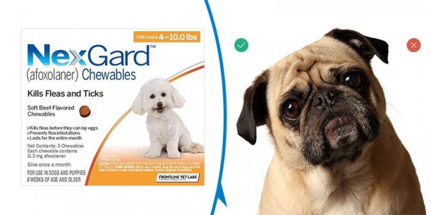 nexgard-for-dog-review