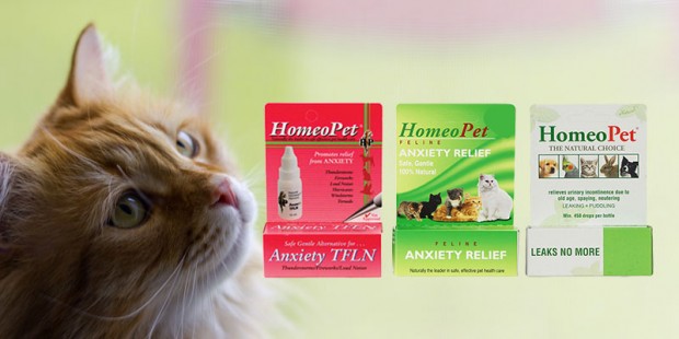 top-Homeopathic