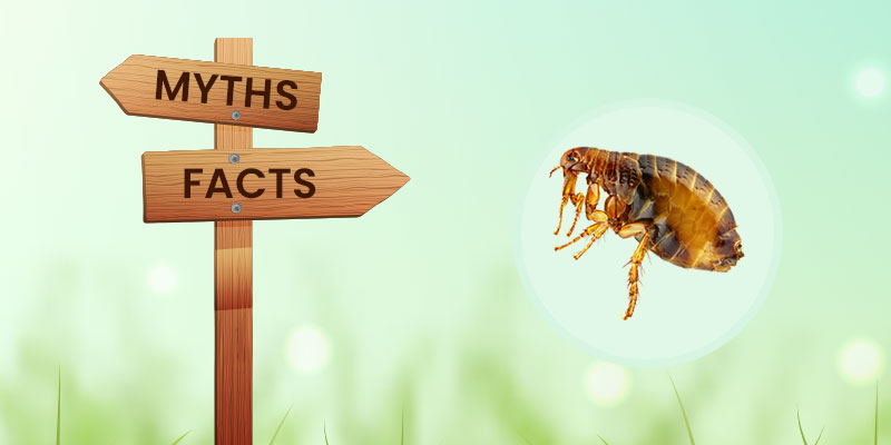 Myths and facts