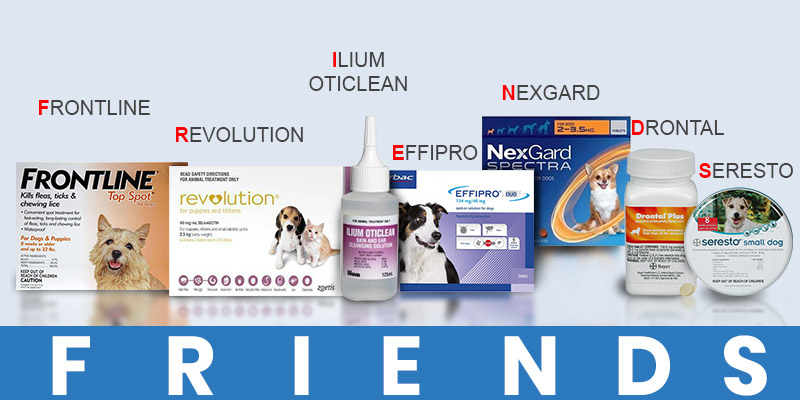 The F.R.I.E.N.D.S of Dogs
