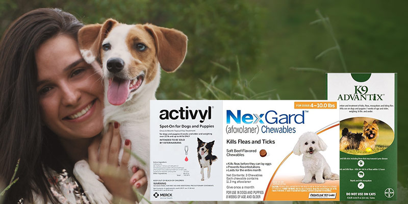 Flea Treatments