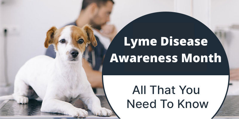 Lyme Disease Awareness Month