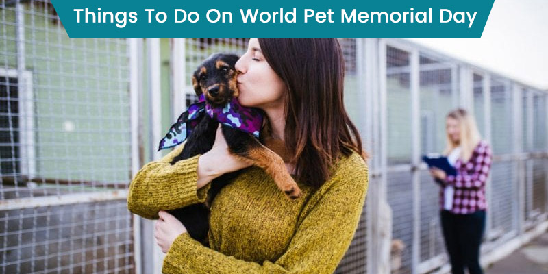 World Pet Memorial Day