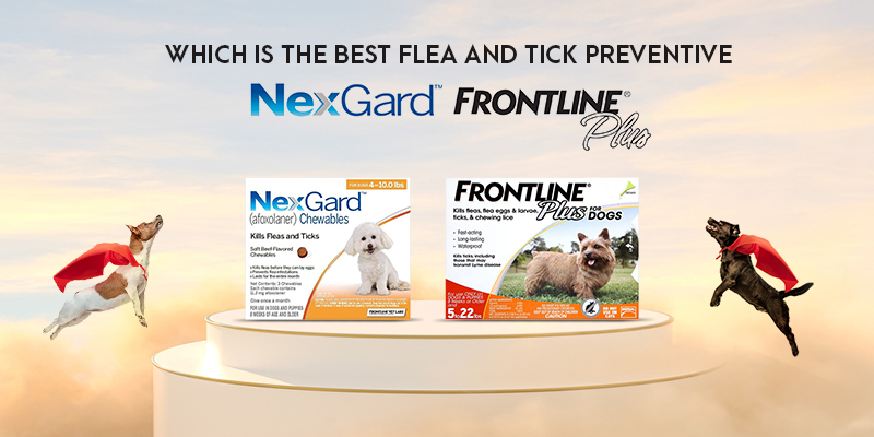 Nexgard Vs Frontline Plus