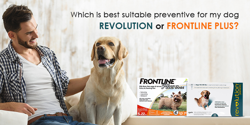 Revolution-vs-Frontline