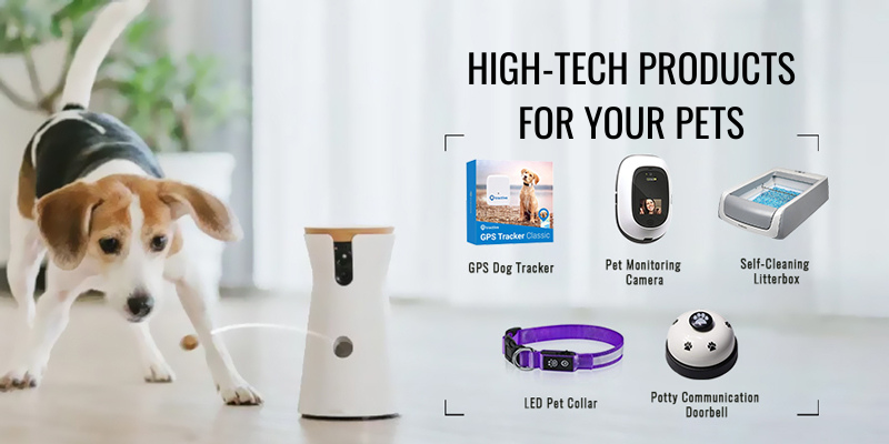 Pet Gadgets You Must Have
