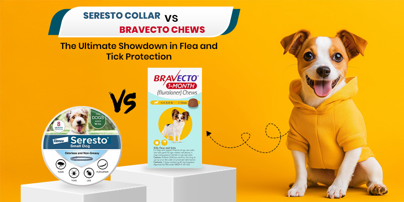Seresto Collar vs. Bravecto Chews