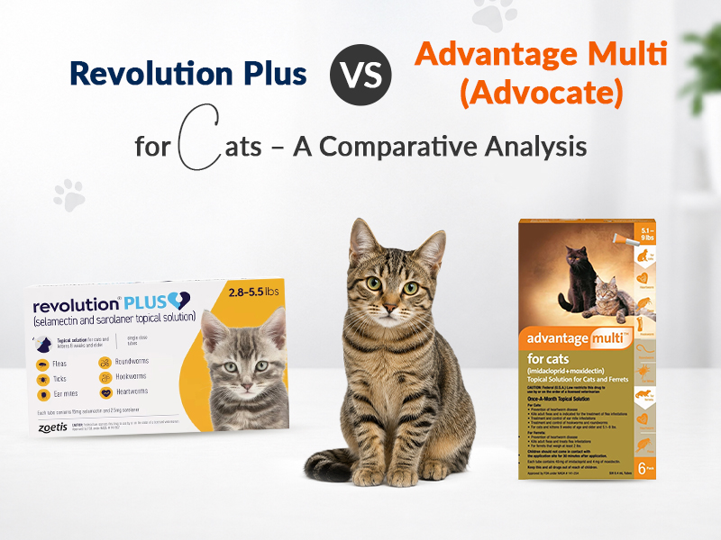 Revolution-Plus-vs-Advantage-Multi