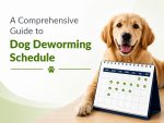 A-Comprehensive-Guide-to-Dog-Deworming-Schedule