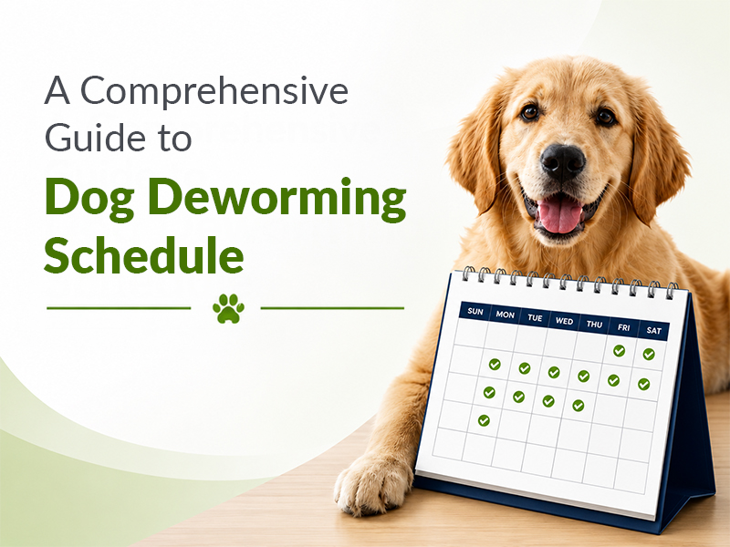 A-Comprehensive-Guide-to-Dog-Deworming-Schedule