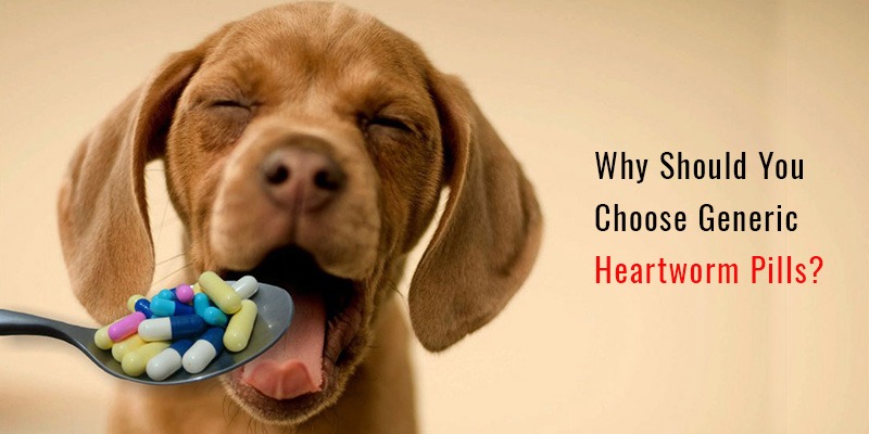 Why Should you choose Generic Heartworm Pills CanadaVetCare
