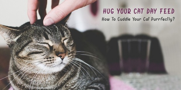 CandaVetCare-hug-your-cat-day