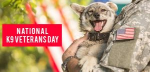 k9-veteransday