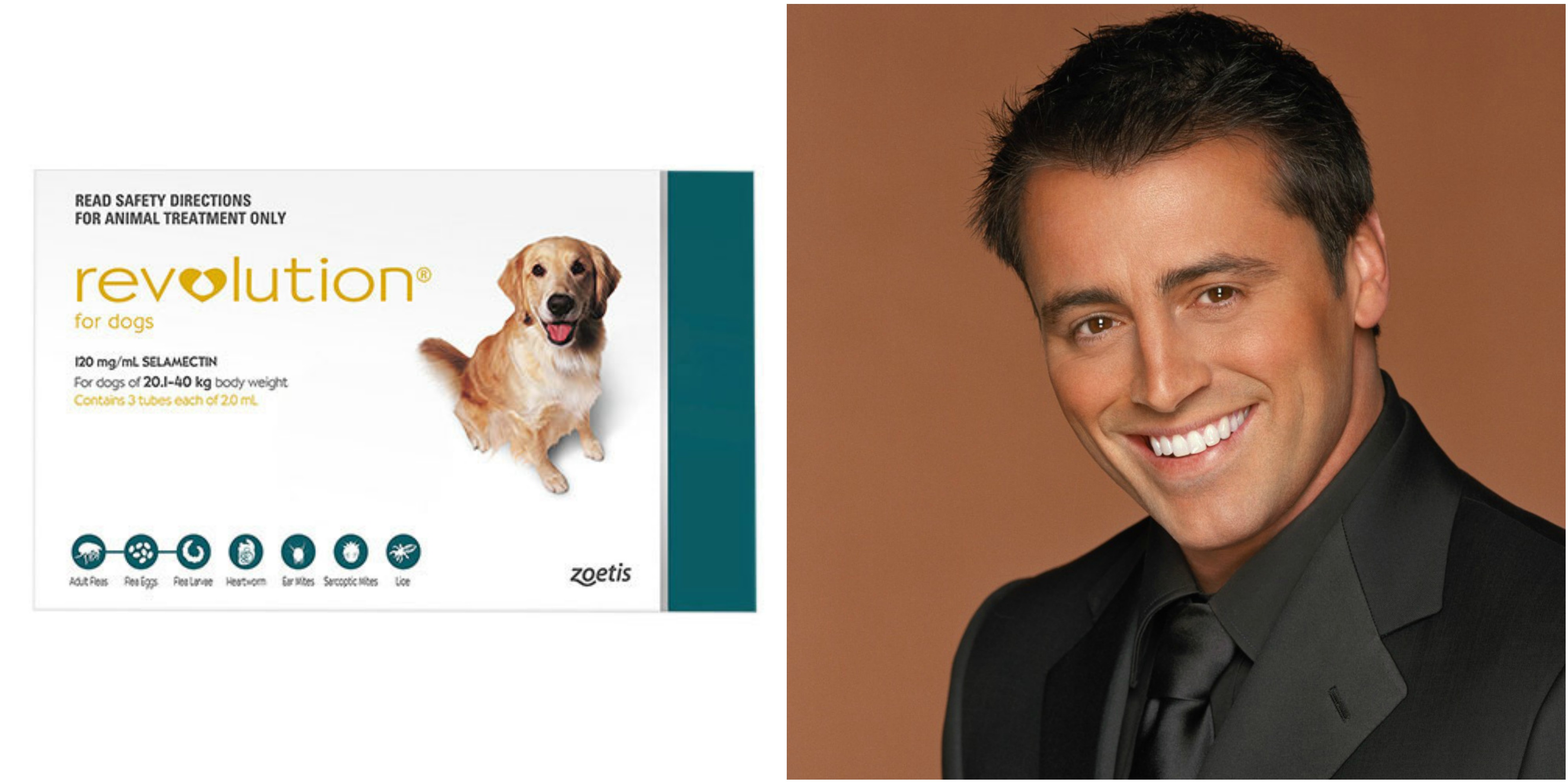 R of F.R.I.E.N.D.S for Dogs