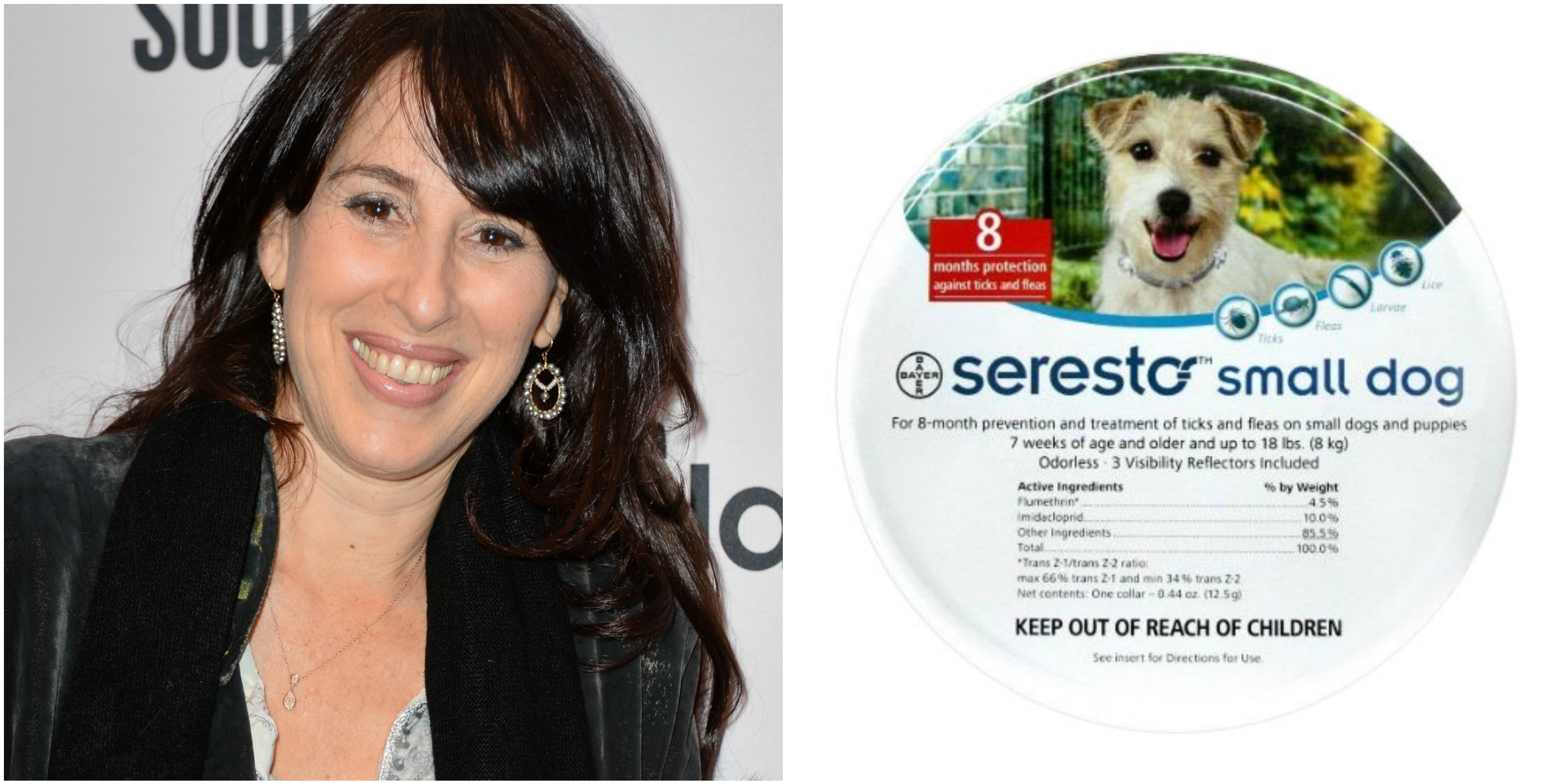 S of F.R.I.E.N.D.S for Dogs