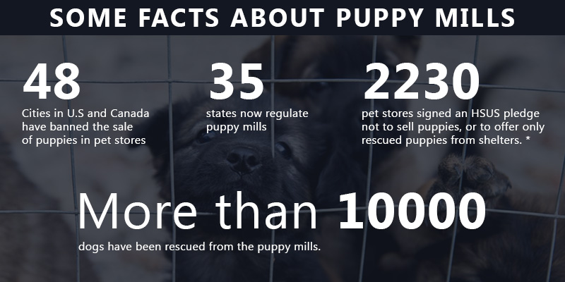 Some facts about Puppy Mills