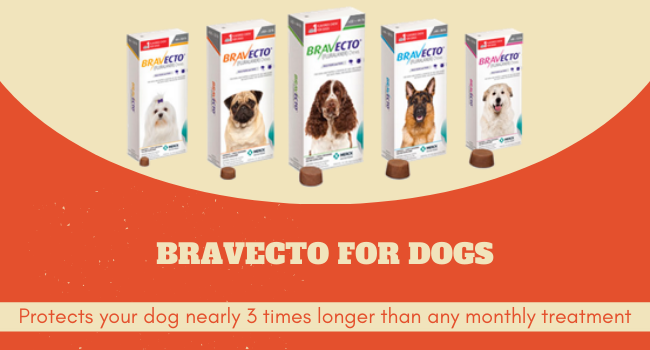 BRAVECTO for Dogs