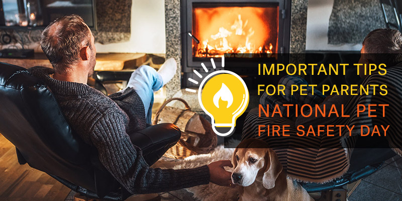 National Pet Fire Safety Day