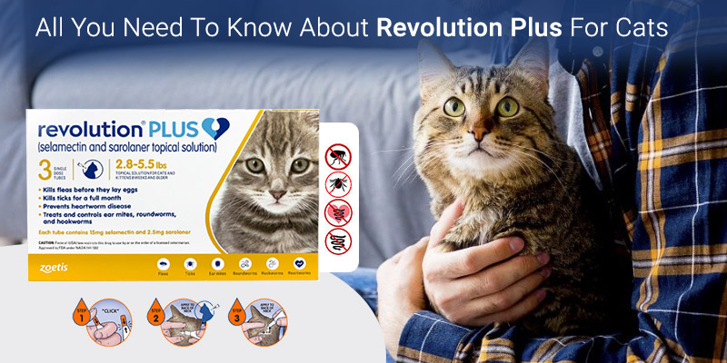 All You Need To Know About Revolution Plus For Cats