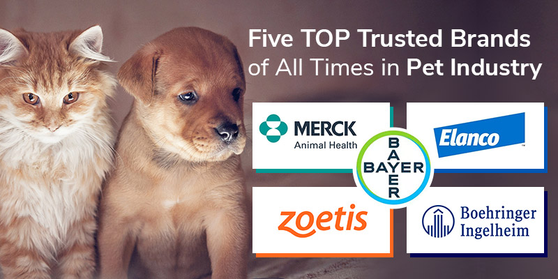 TOP Trusted Brands of All Times in Pet Industry
