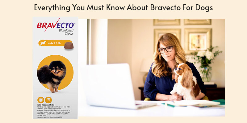 Bravecto For Dogs Product Review