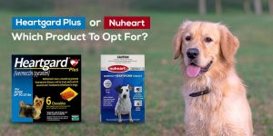 Heartgard-Plus-or-Nuheart