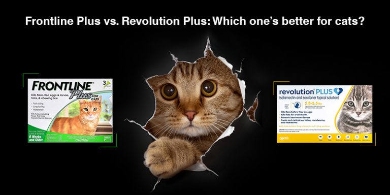 frontline-plus-vs-revolution-plus-which-one-s-better-for-cats