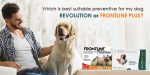 Which is Best Suitable Preventive for my Dog – Revolution or Frontline Plus?
