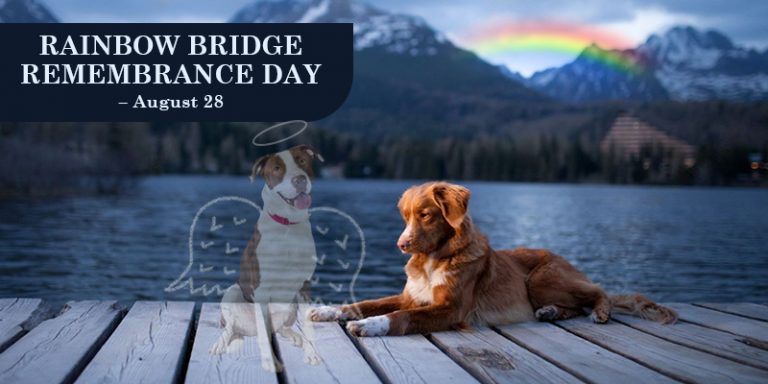August 28 is RAINBOW BRIDGE REMEMBRANCE DAY