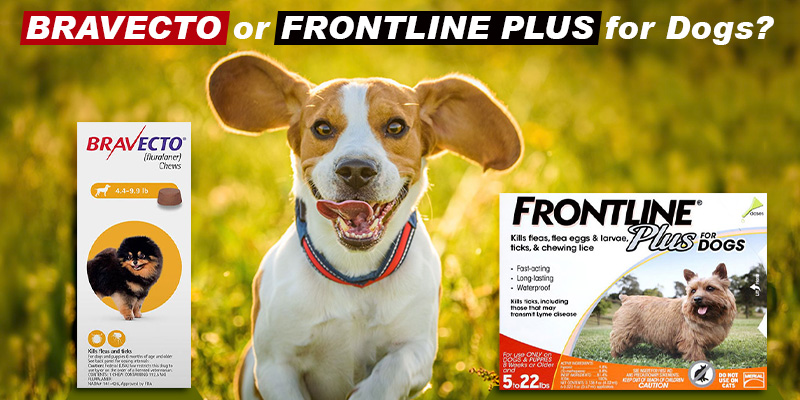Bravecto or Frontline Plus for Dogs