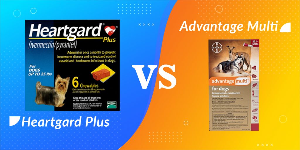 Heartgard Plus and Advantage Multi Comparison