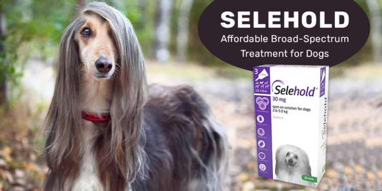 Selehold for dogs