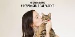 101 of Becoming a Responsible Cat Parent