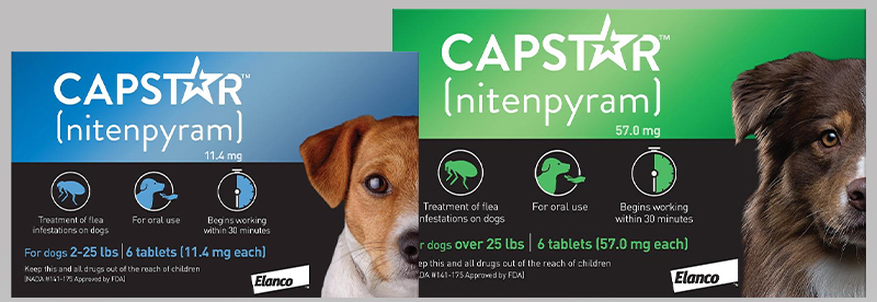 Capstar chew for Dogs