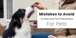 Mistakes to Avoid in Flea and Tick Prevention for Pets