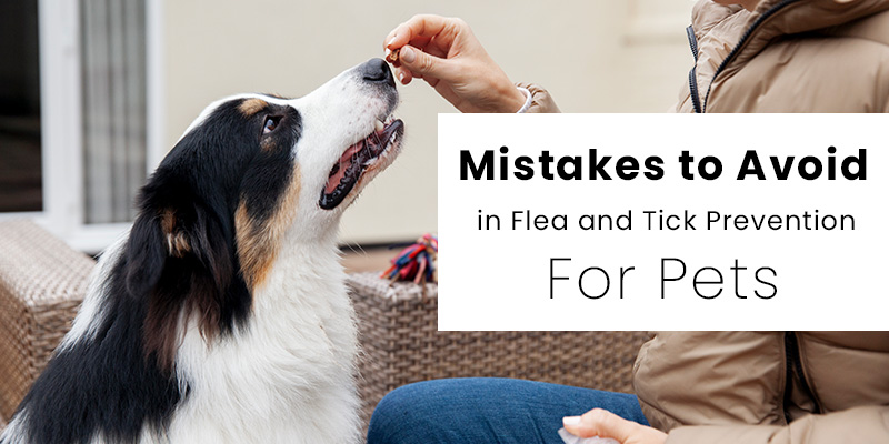 Flea and tick preventions for pets