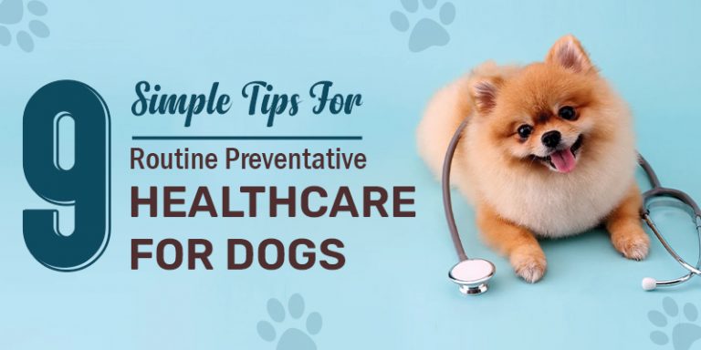 Tips For Routine Preventative Healthcare For Dogs