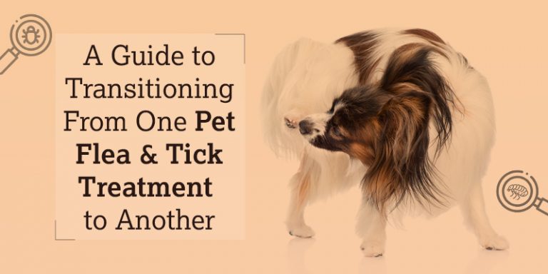 Pet Flea & Tick Treatment