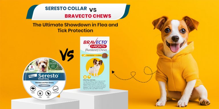 Seresto Collar vs. Bravecto Chews