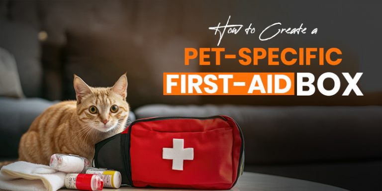 Pet-Specific First-Aid Box