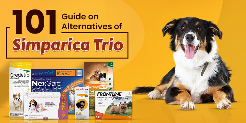 CanadaVetCare-Blog-Alternatives-of-Simparica-Trio
