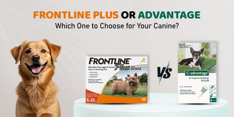 Frontline Plus or Advantage