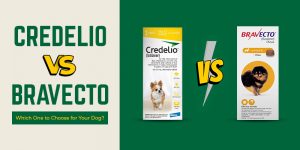 CanadaVetCare-Blog-Credelio-vs-Bravecto-2026