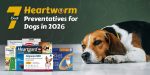 Heartworm Preventions for Dogs