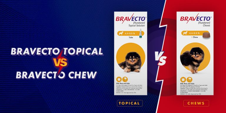 Bravecto Topical vs. Bravecto Chew - A Detailed Analysis