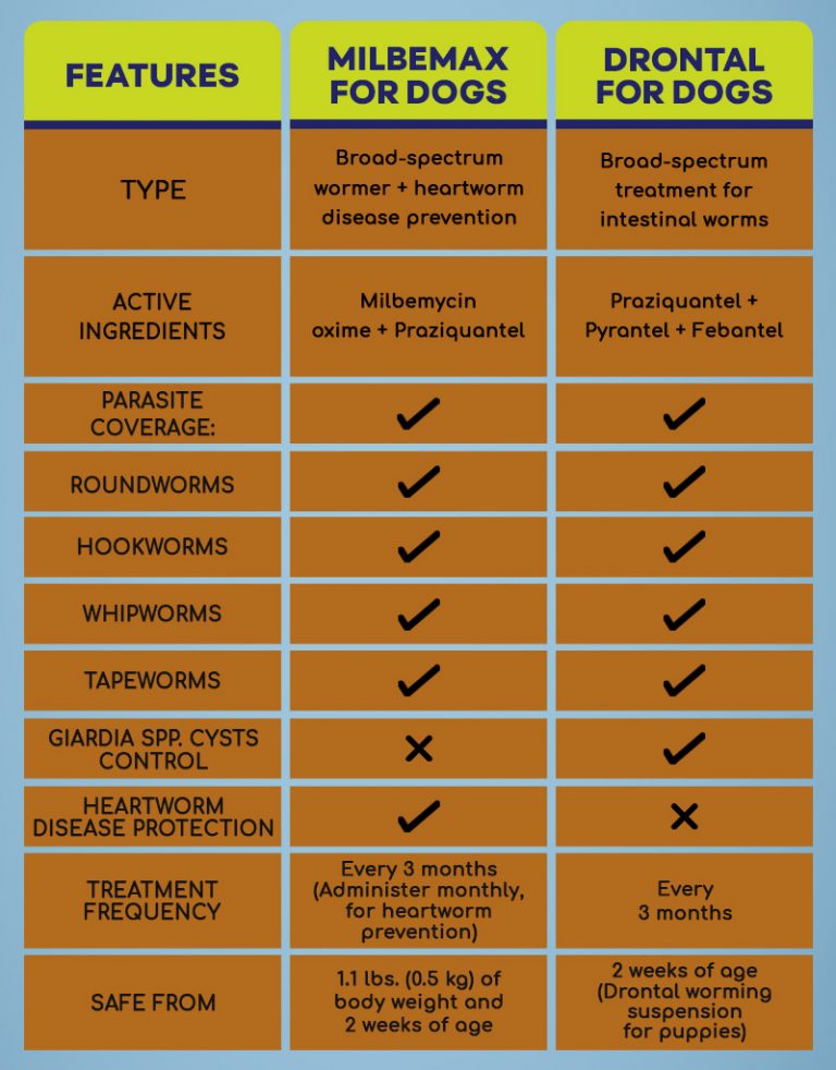 Milbemax vs Drontal - All You Need to Know About Dog Dewormers ...