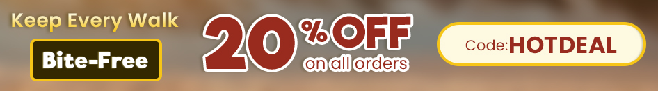 CVC-in-Summer-Sale-Jun26.jpg?id=20339