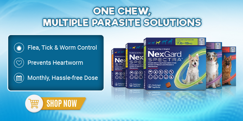 Nexgard Spectra Chewable Tablets for Dogs